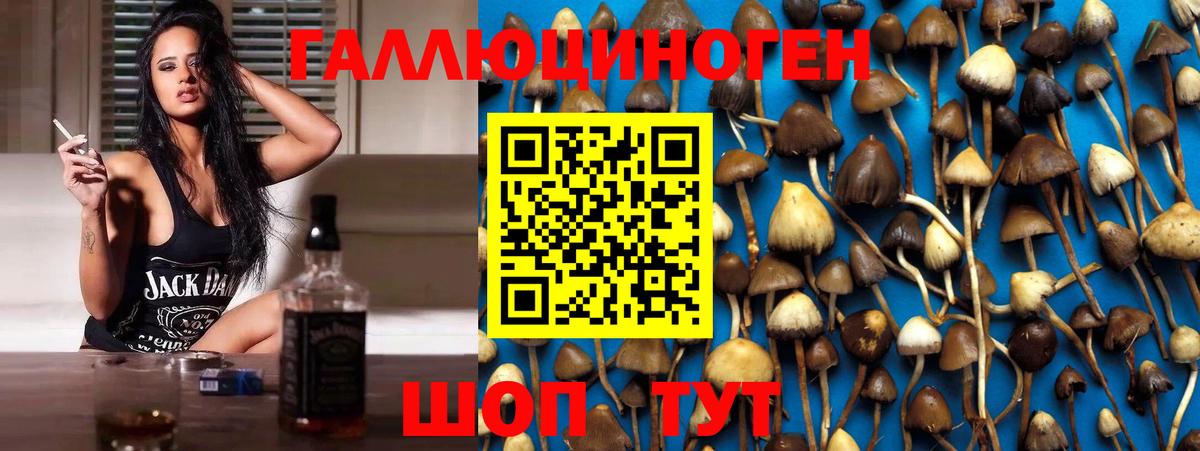 Галлюциногенные грибы прущие грибы  Псилоцибиновые грибы прущие грибы  Вход с VPN  Апатиты 